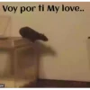 ANIMALITOS 12