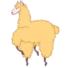 Llama amarilla 6