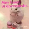 ANIMALITOS 13