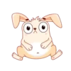 Bunny 5