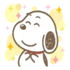 SNOOPY ROUND BOY 14