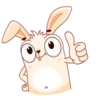 Bunny 6