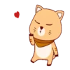 ORANGE AND BLACK CAT 11