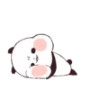 PANDAS mov. 15