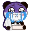 PAN PAN mov 13