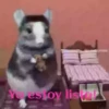 ANIMALITOS 15