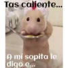 ANIMALITOS 16