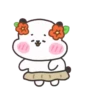 animals cute mov. 11