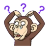funny monkey 9