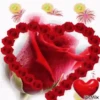Corazón 13