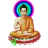 समृद्ध संपत्ति 3 12