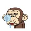 funny monkey 11