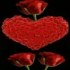 Corazón 15