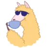 Llama amarilla 8
