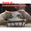 ANIMALITOS 19