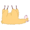Llama amarilla 9