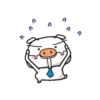 BOOING PIG 13