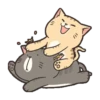 Gatinhos fofos 12