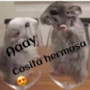 ANIMALITOS 20