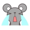 Mouse 12