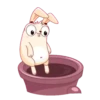 Bunny 9