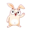 Bunny 10