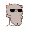 ꧁ Mochi Peɑch Cɑt mov #5꧂ 19