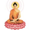 समृद्ध संपत्ति 3 16