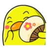 Pato gordo 17