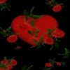 Corazón 17