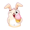 Bunny 12