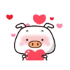 BOOING PIG 14