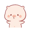 Lindo CERDITO Mov 14