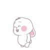 whiteBunny 10