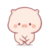 Lindo CERDITO Mov 15