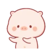 Lindo CERDITO Mov 18