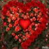 Corazón 18