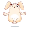 Bunny 15