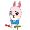 Lovely rabbit  Mov 8