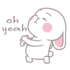 whiteBunny 11