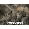 Gollum Mov 17