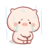 Lindo CERDITO Mov 19