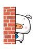 BOOING PIG 18