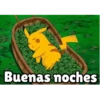 Buenas noches Mov 24
