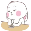 whiteBunny 12