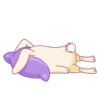 Bunny 16