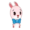 Lovely rabbit  Mov 9