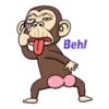 funny monkey 13