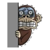 funny monkey 14