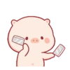 Lindo CERDITO Mov 23